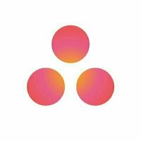 Asana icon